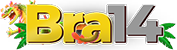 logo bra14